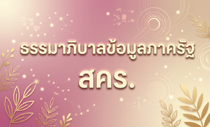 ภาพธรรมาภิบาลข้อมูลภาครัฐ สคร.