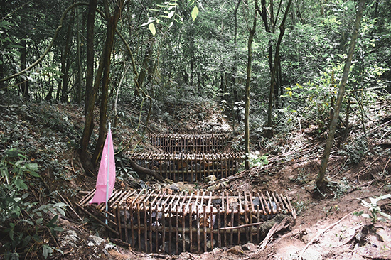 สคร. จัดกิจกรรมจิตอาสาบำเพ็ญสาธารณประโยชน์และบำเพ็ญสาธารณกุศลเฉลิมพระเกียรติพระบาทสมเด็จพระเจ้าอยู่หัว เนื่องในโอกาสวันเฉลิมพรรษา 28 กรกฎาคม 2565 
